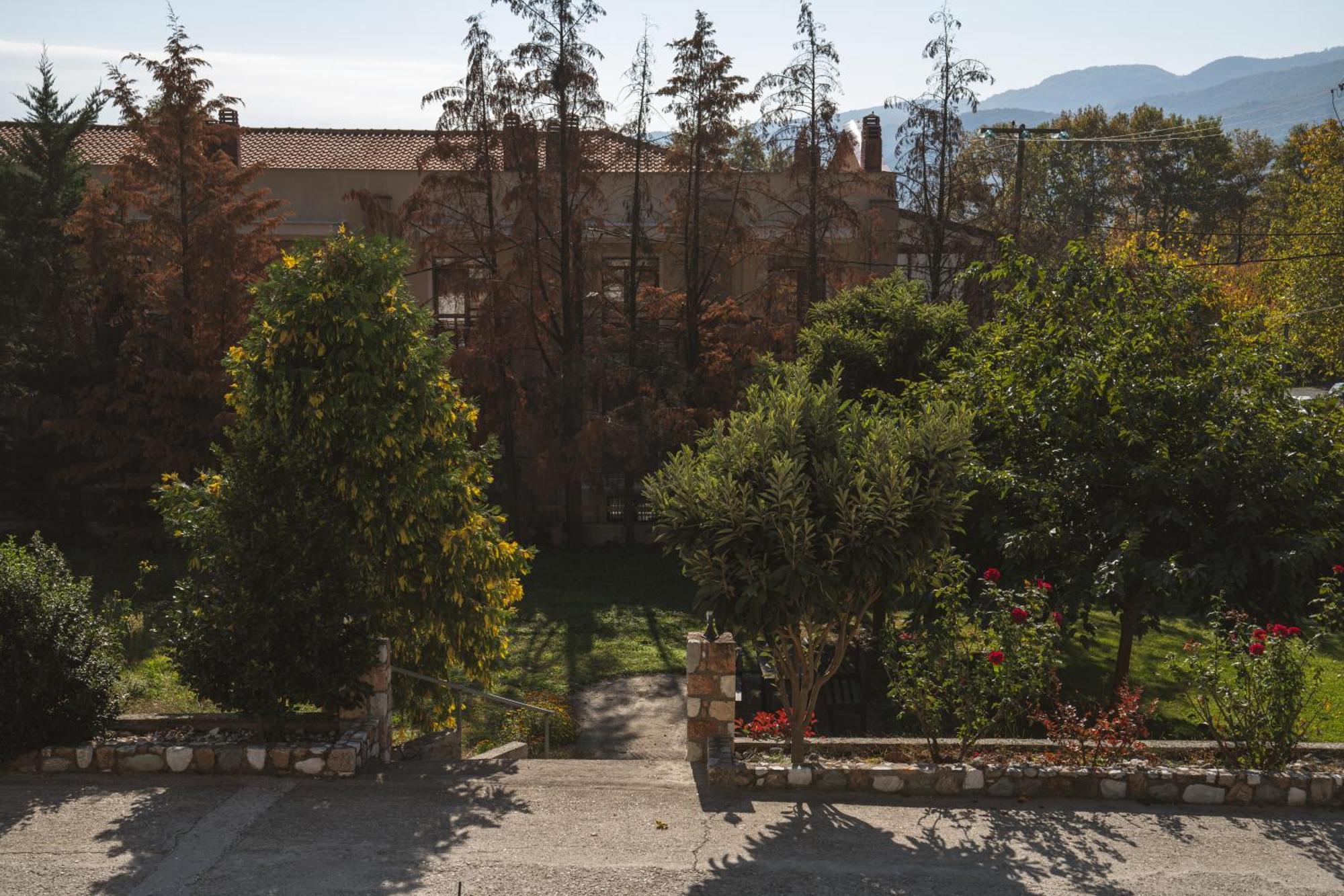 Alkyonis Hotel&Spa Káto Loutrákion Eksteriør billede